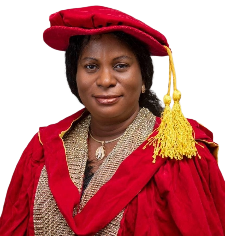 Dr. Mrs. Francisca Nwafulugo, <small>FNSE, FNSChE</small>